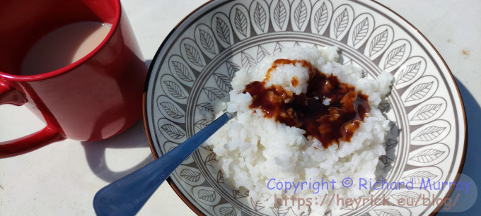 Rice, Yakitori (soy) sauce, and tea.