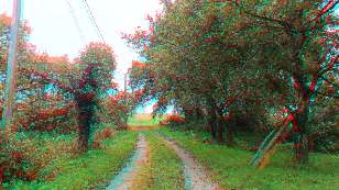 Anaglyph image - the access lane