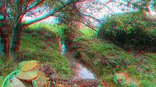 Anaglyph image - the stream