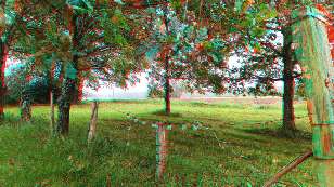 Anaglyph image - the tranquil place