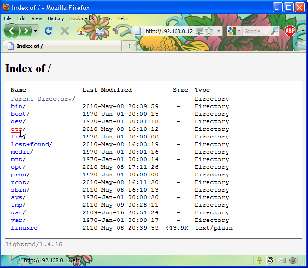 The OSD's web server showing directories and their contents.