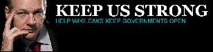 Wikileaks banner