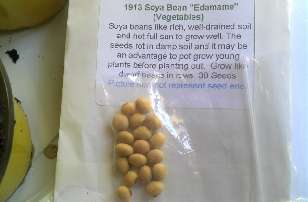 Soy seeds