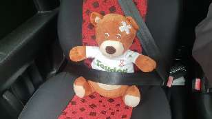 Safety first - always wear the seat belt