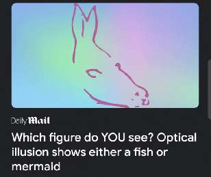 Is it a fish or is it a mermaid?