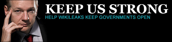 Wikileaks banner