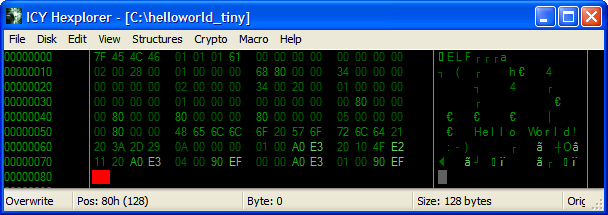 Hex view of our tiny program