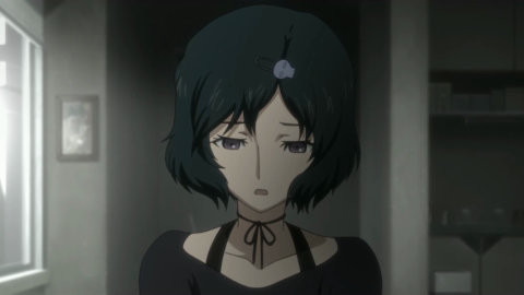 Steins;Gate - Rukako.