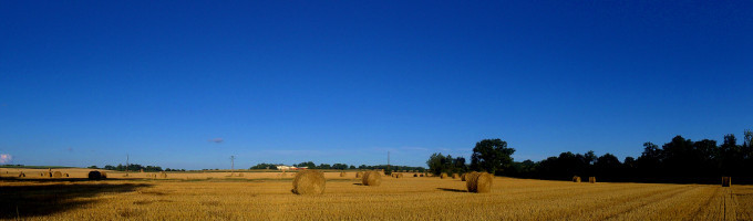 Empty fields and deep blue evening sky