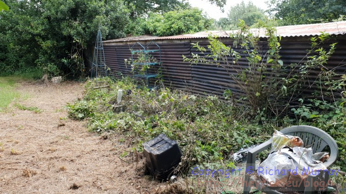 Slapping down the brambles in the potager