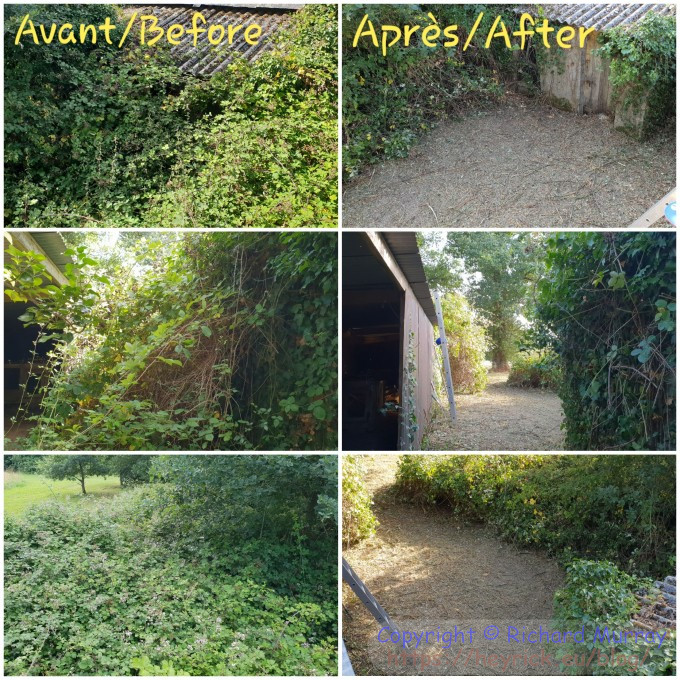 Weed whacking - before and after
