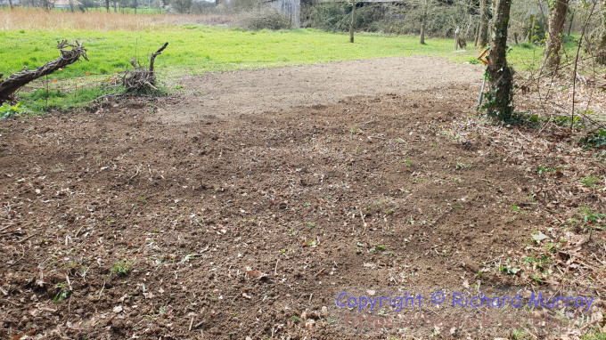 Potato patch, bigger