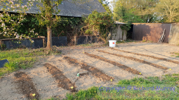 The bin and the potato patch.