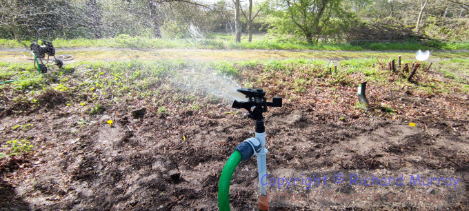 Potato irrigation