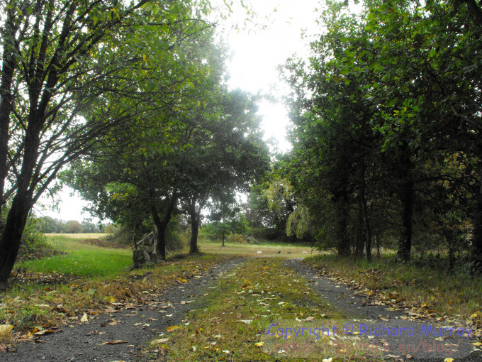 Looking along the driveway