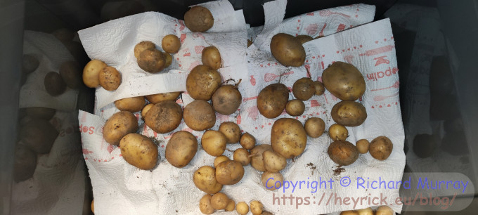 Potatoes