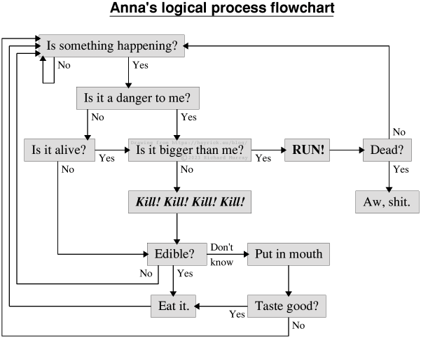 Cat logic chart
