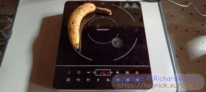 Induction cooker