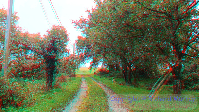 Anaglyph image - the access lane