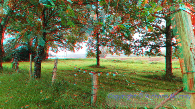 Anaglyph image - the tranquil place