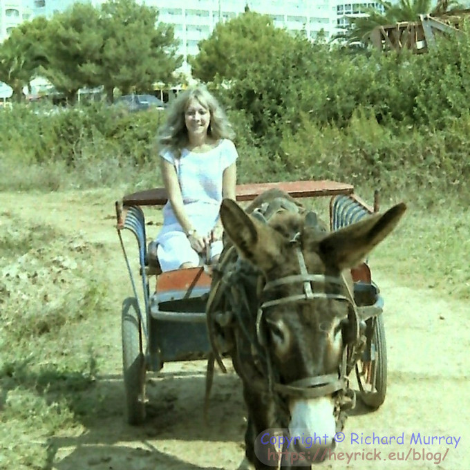 Mom in a donkey cart