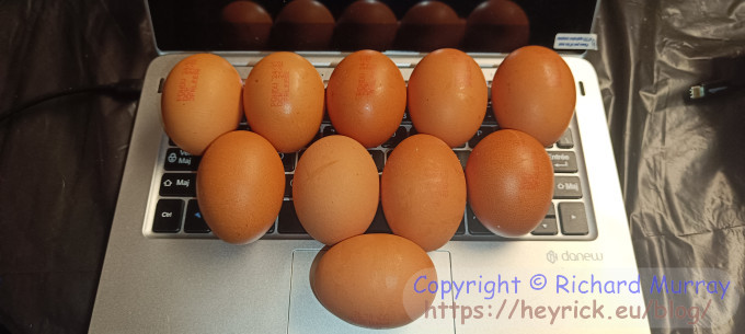 A photo of eggs.