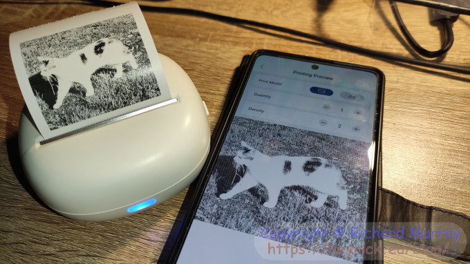 A little printer being used with a mobile phone.