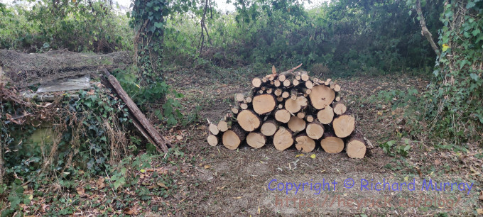 Logs.
