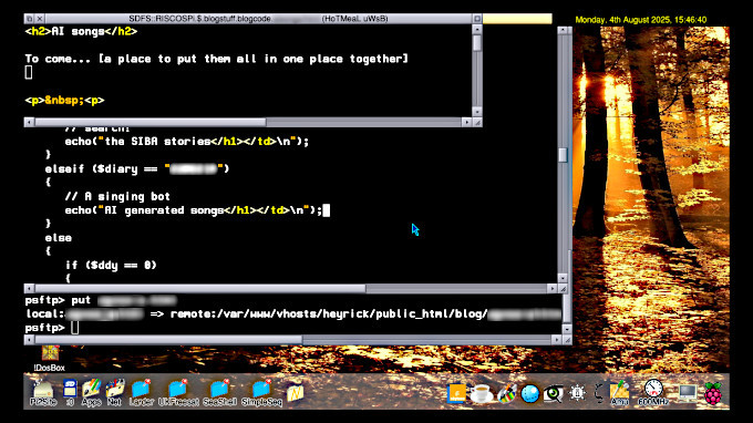 Editing my blog using VNC