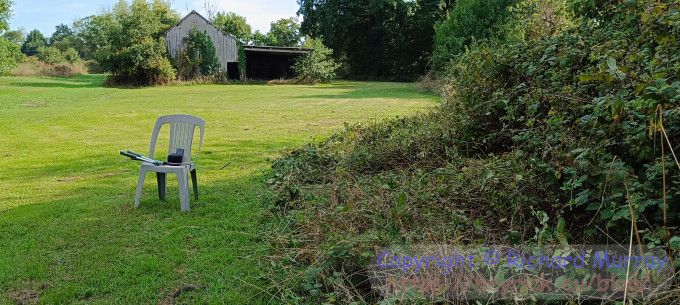 Partially cut brambles