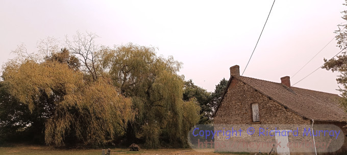 A photo with a weird looking sky.