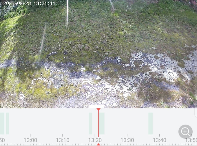 My security camera showing NOTHING happened at the time my parcel was supposedly delivered.