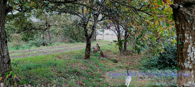 A photo of a bleak dismal day.