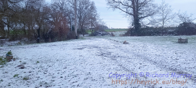 Looking northeast in the bloody cold.