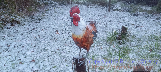 Even the metal chicken is cold.