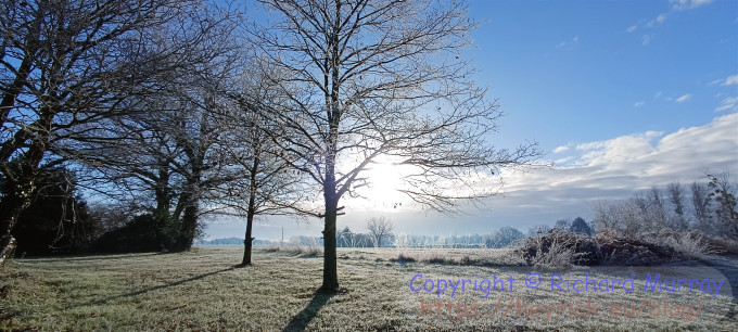 A photo on an icy day.