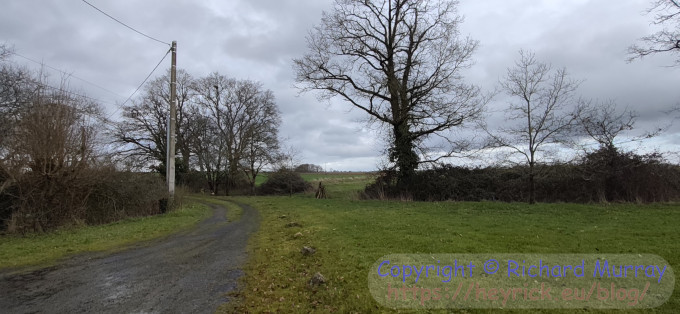 Looking towards the village, wide, Note 15 version.