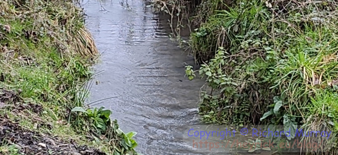 Zooming in on the 12Mpix image.