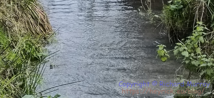 Zooming in on the 200Mpix image.