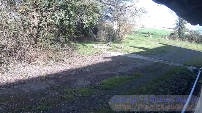 Working in the garden.