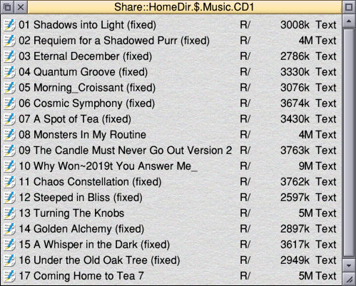 A list of MP3s.