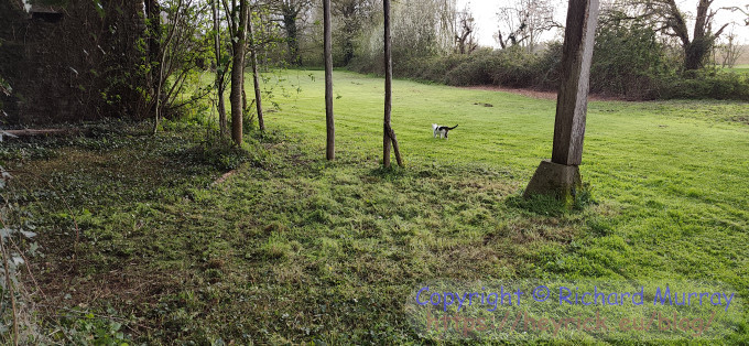 No brambles here.