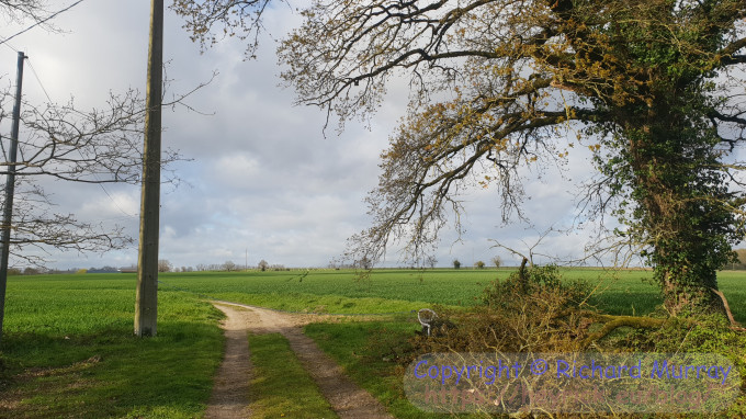 Now there's clearance.