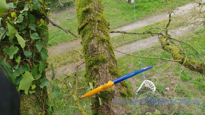 Looking down from up there.