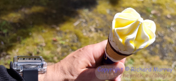 Lemon cheesecake ice cream.